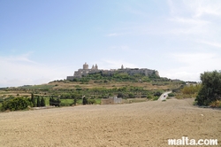 Fields and the Mdina's fortress