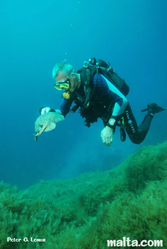 Exploring the Merkanti reef