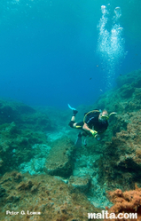 Exploring the sea bed of Merkanti reef